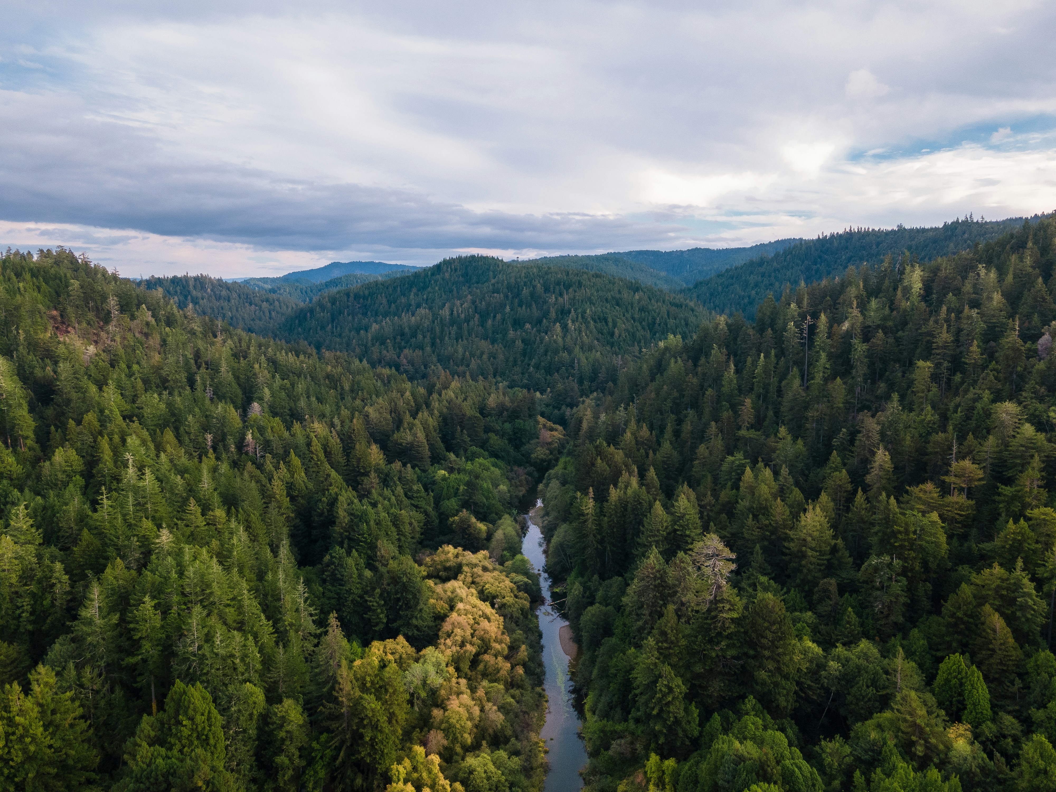 Beautiful Oregon landscape with mountains, trees and river